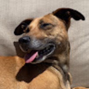 Meet your Posher, Grace